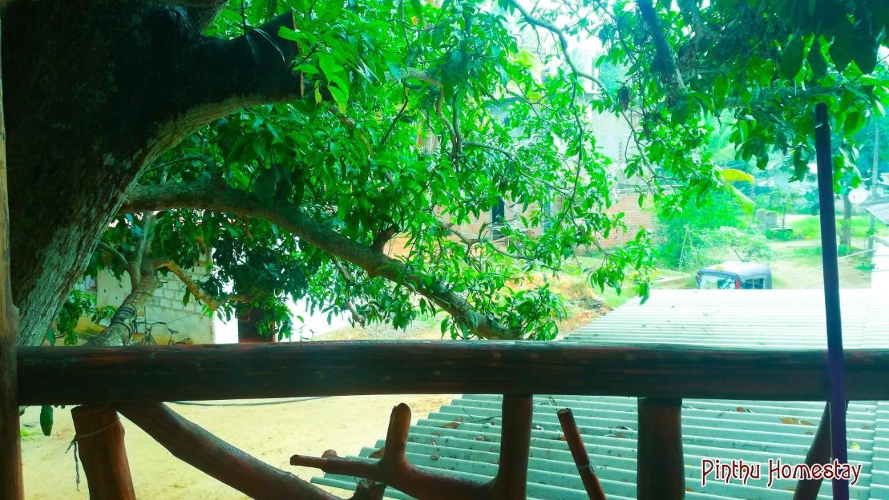 Pinthu Home Stay Sigiriya Exterior photo